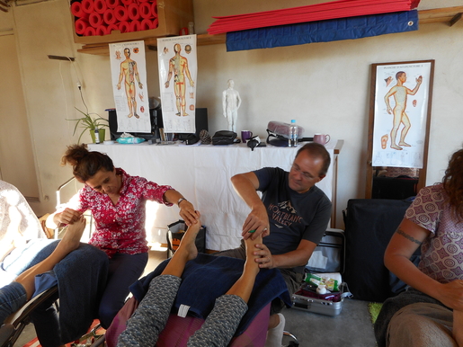 Réflexologie plantaire révision des zones plantaires