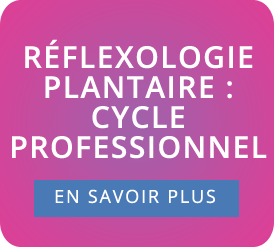 cycle professionnel